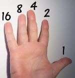 hand right: 16,8,4,2,1